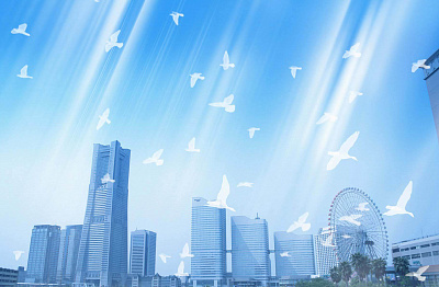 Купить коммерческую недвижимость